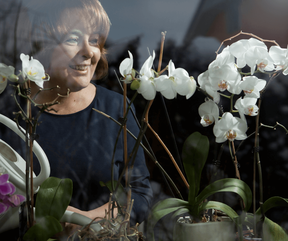 Getting Phalaenopsis and Oncidium to Rebloom