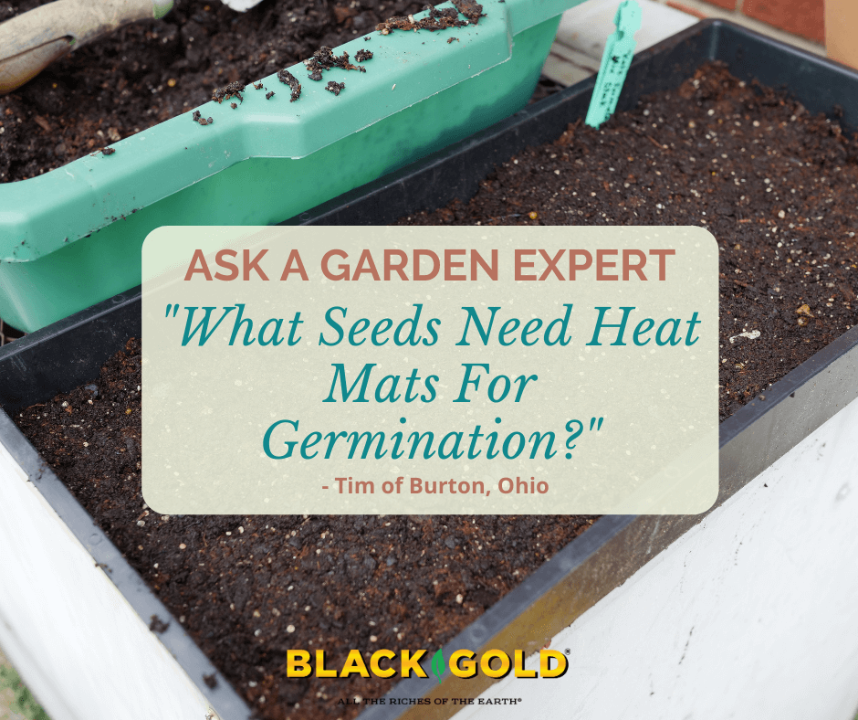 How to Use a Heat Mat to Start Seeds