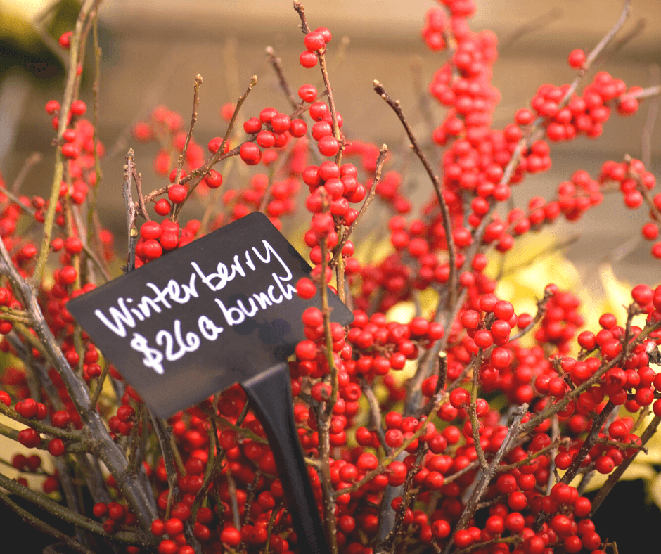 103, Christmas bells on a fir tree branch with pinecones