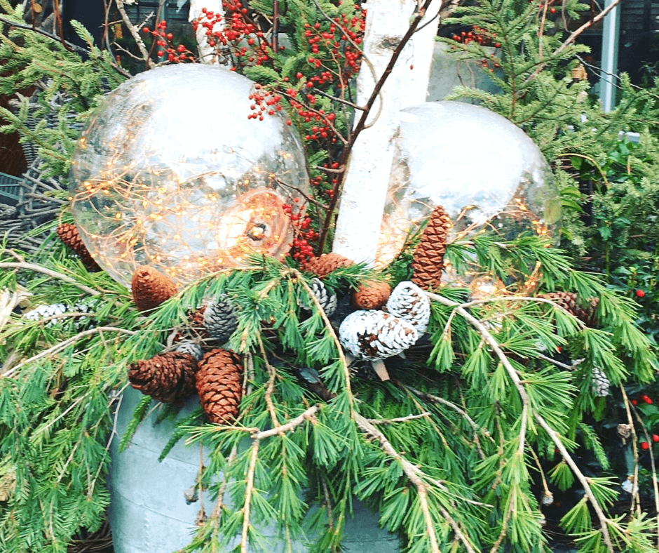 103, Christmas bells on a fir tree branch with pinecones