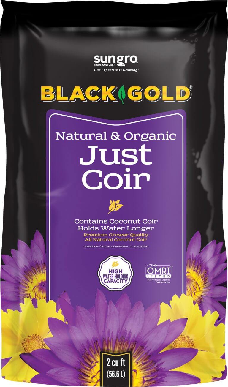 Mike Darcy Black Gold