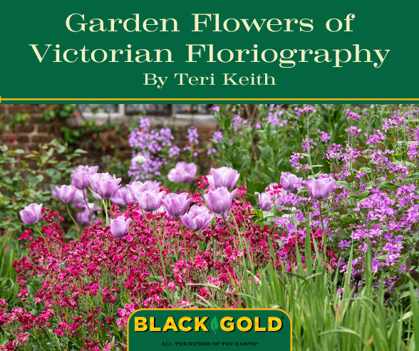 Garden Flowers of Victorian Floriography